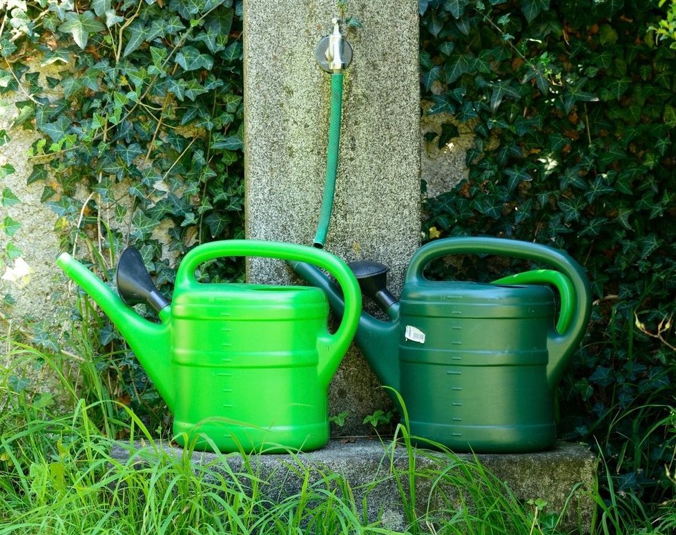 Réussir un kokedama : guide étape par étape